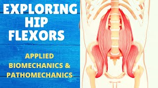 HIP FLEXORS  BIOMECHANICS amp PATHOMECHANICS  PSOAS MAJOR Part 1 [upl. by Darrin]