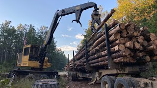 Tigercat 234B Processing amp Loading Pine Pulpwood [upl. by Parrnell]