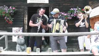 Wildbach Trio  Wir kommen wieder  Polka Instrumental [upl. by Adrahs348]