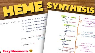 Heme Synthesis Pathway  Easy Mnemonic  Biochemistry [upl. by Jenne]