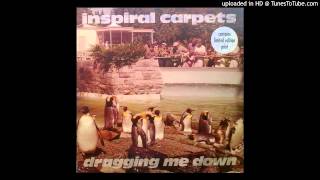 Inspiral Carpets ‎ Dragging Me Down Jon Dasilva Remix [upl. by Rebmak]