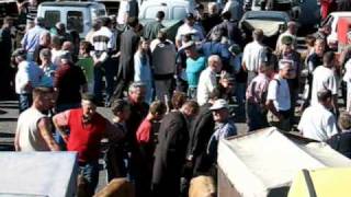 Foire aux veaux à StLaurent de Chamousset Rhône [upl. by Luap508]