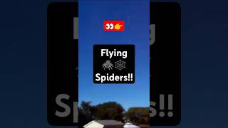 Spiders in the Sky ♫ SnerdeyCo [upl. by Winer]