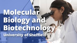 Molecular Biology and Biotechnology  University of Sheffield [upl. by Phene]