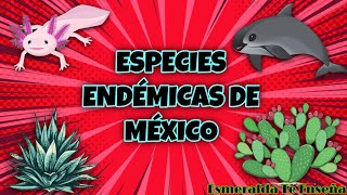 Especies endémicas de México  Esmeralda Te Enseña [upl. by Brigida]