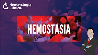 HEMOSTASIA [upl. by Avihs860]