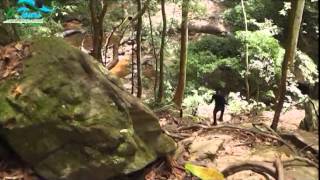 Historical Olumirin Waterfall Osun State [upl. by Aihsyak]