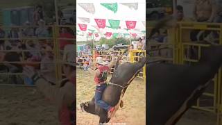 DESOBEDIENTE DE ACAPULCO GRO VS TORO EL TOÑO LOCO🐂💢 jaripeo shorts [upl. by Chobot]