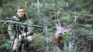 The Red Stag RutRoar 2024 Ruahine Range [upl. by Cita953]