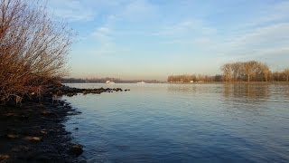 Am Rhein Fähre zwischen Drusenheim und Greffern [upl. by Willin]