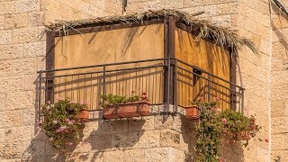 Sukkot Song שיר סוכות Citizen Israel [upl. by Ronald105]