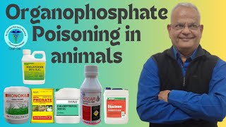 Understanding Organophosphate Malathion Rogar Monocrotophos Poisoning In Animals with GNP Sir [upl. by Slinkman]