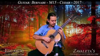 2017 Paulino Bernabe Model 15 cedar Concert Classical Guitar [upl. by Nugent235]