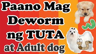 Papaano Mag deworm ng Tuta at Matandang Aso How to deworm a puppy and adult dog [upl. by Ojyram]