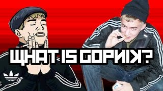 What is Gopnik [upl. by Pendleton167]