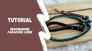 Herringbone Leine Anleitung  so knotest du eine Hundeleine aus Paracord  deutsch [upl. by Flight]