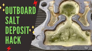 OUTBOARD SALT REMOVAL HACK [upl. by Leonerd]