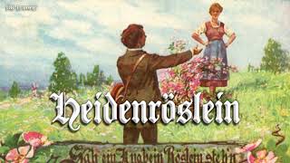 Heidenröslein German folk songEnglish translation [upl. by Ibbetson832]