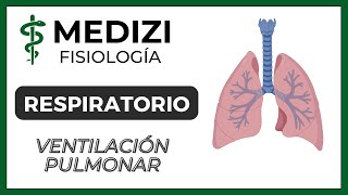 Clase 37 Fisiología Respiratoria  Ventilación Pulmonar IGdoctorpaiva [upl. by Mulligan]