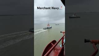 Tug boat Aayi Hamare ship ko kinare Lagane ke liye🛳️☠️🗿 explore reels ship shortvideo [upl. by Tullus647]