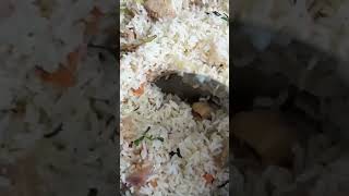 Mealmakerpulaavbiryanidumbiryanivegbirtaniparadisebiryanisimplant tastybiryanifoodtrending [upl. by Nirrok]