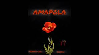 Amapola Nueva h ft Natanael Cano quotMaquetaquot [upl. by Pernell]