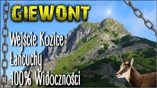 GIEWONT  Tatry Widoczność 100 Kozice blokują szlak Mordercza góra [upl. by Licko]