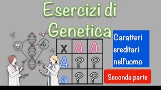 Esercizi di genetica umana  leggi di Mendel e quadrato di Punnett 2 [upl. by Mcloughlin14]