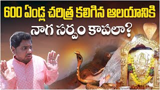 7 Temple  Dabilpura Sri Jagadamba Temple History Telugu  Telangana  Anchor Pappu  Socialpost TV [upl. by Uella302]