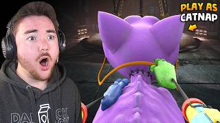 WE CAN PLAY AS CATNAP Rideable Catnap Mod  Poppy Playtime Chapter 3 Gameplay Mods [upl. by Naved]