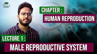 Understanding Human Reproduction  Biology Basics Explained  Mams [upl. by Palila]