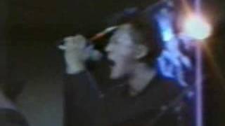 DRP · Mad Dog Live 1987 [upl. by Akinajnat943]