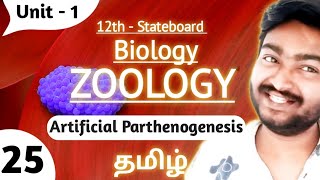 Artificial Parthenogenesis in Tamil  12th Standard Bio Zoology Unit 1 Reproduction in organisms TN [upl. by Adnahcal]