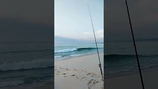 Beach Fishing at Haycock in Pambula beachfishing fishingaustralia justfishing [upl. by Elleinahc509]