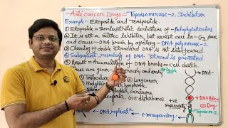 Anticancer Drugs Part13Topoisomerase 02 Inhibitors  Etoposide and Teniposide  Anticancer Drug [upl. by Oirogerg]