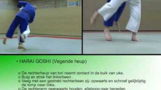 09 Judo in beeld  harai goshi [upl. by Ainuj238]