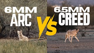 6MM ARC VS 65MM CREED  4K FOOTAGE  WHICH ROUND IS BETTER FOR COYOTES [upl. by Klenk]