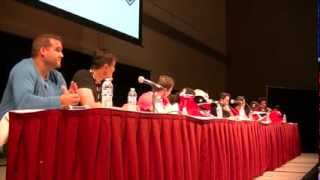 Forever Red Power MorphiCon 2014 Saturday Panel Austin St John amp Many More [upl. by Aikyn]