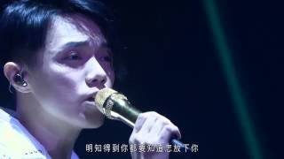 張敬軒 Hins Cheung  遙吻 Hins Live in Passion 2014 [upl. by Daffy773]