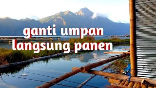 pakek umpan ini pasti panen‼️danau Batur kintamani Bali‼️vlogmancingbali [upl. by Akoek415]