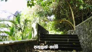 Medical Faculty Anthem  Lyrics  Prof  Carlo Fonseka Music  Pradeep Rathnayake [upl. by Ollehto]