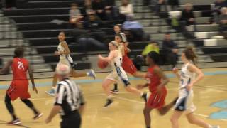 Herndon vs Centreville GBball 2016 [upl. by Gerti]