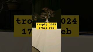 Bonsai Trophy 2024 is near [upl. by Risan310]