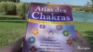 Revue du Chakra wisdom oracle cards [upl. by Vullo416]