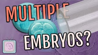 IVF Tips  Is it better to transfer 1 embryo or 2 [upl. by Anaeco685]