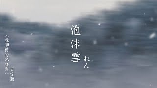 我期待的不是雪：泡沫雪  れん〔中日歌詞〕 [upl. by Pasol]