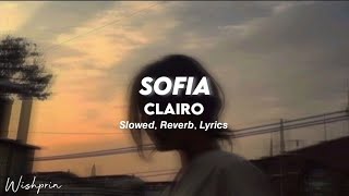 sofia  clairo  slowed  reverb Lyrics tiktok version [upl. by Kaitlynn]