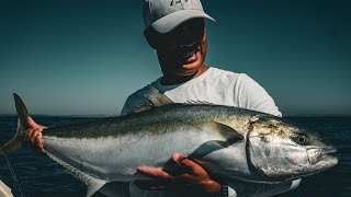 Sydney Yellowtail Kingfish 105cm at The Peak offshore reef on a 40lb setup [upl. by Ellehsor194]