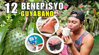 12 HELPFUL BENEFITS OF GUYABANO ANNONA MURICATA PLANTS  MEDICINAL BENEFITS [upl. by Neenwahs]