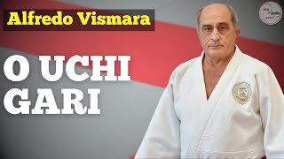 Lezione tecnica O Uchi Gari [upl. by Aerdnat]